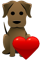 dog heart